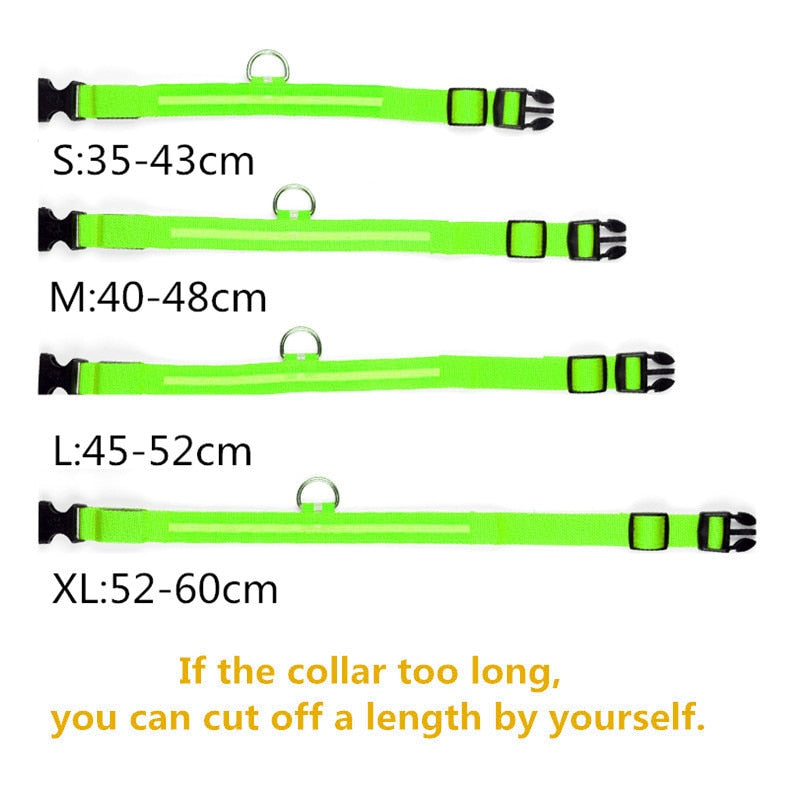 Glow Pet Collar