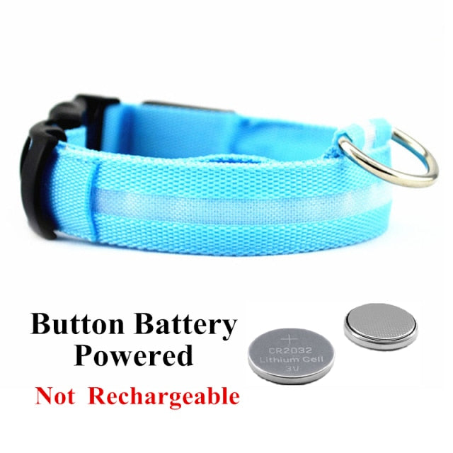 Glow Pet Collar