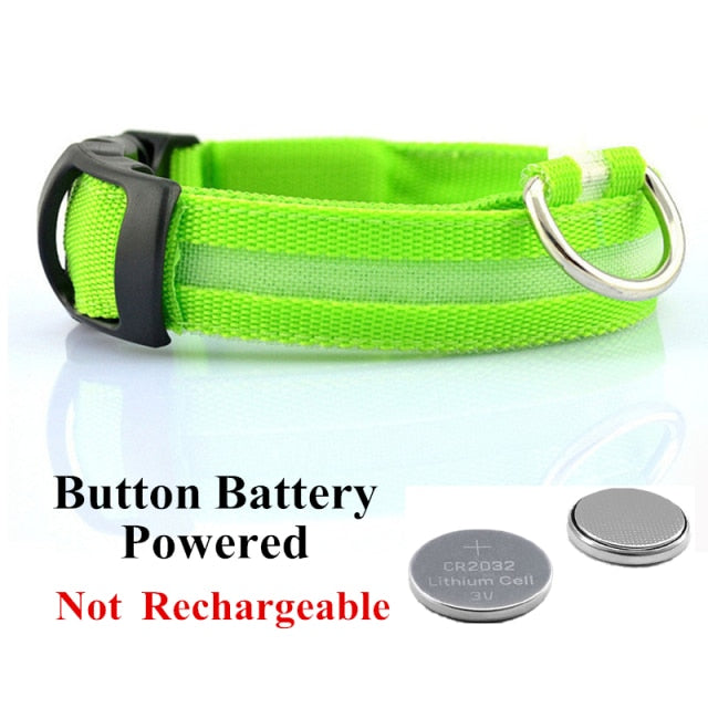 Glow Pet Collar