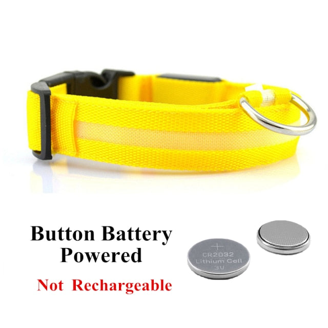 Glow Pet Collar