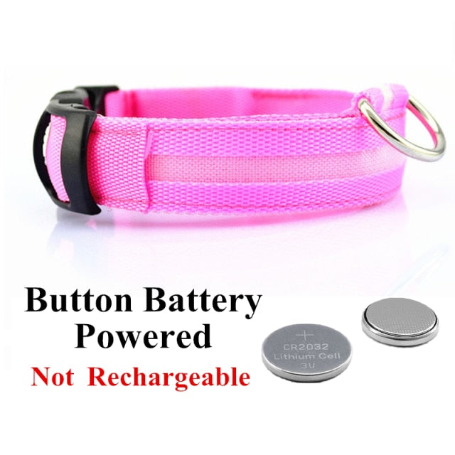 Glow Pet Collar