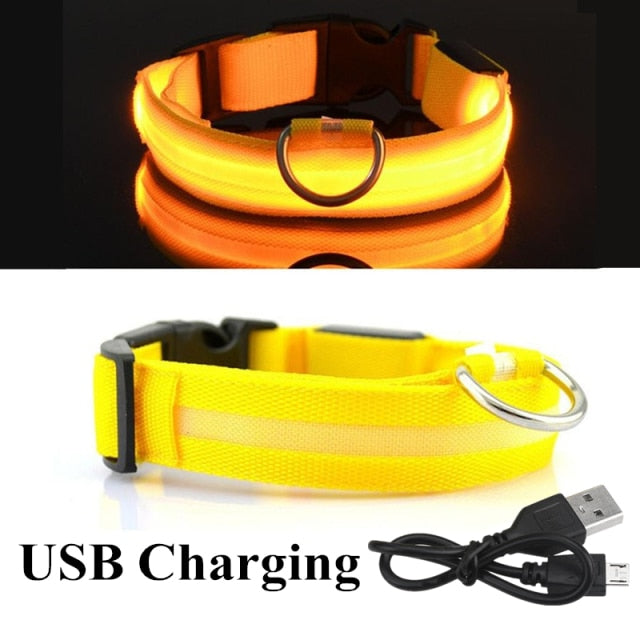 Glow Pet Collar