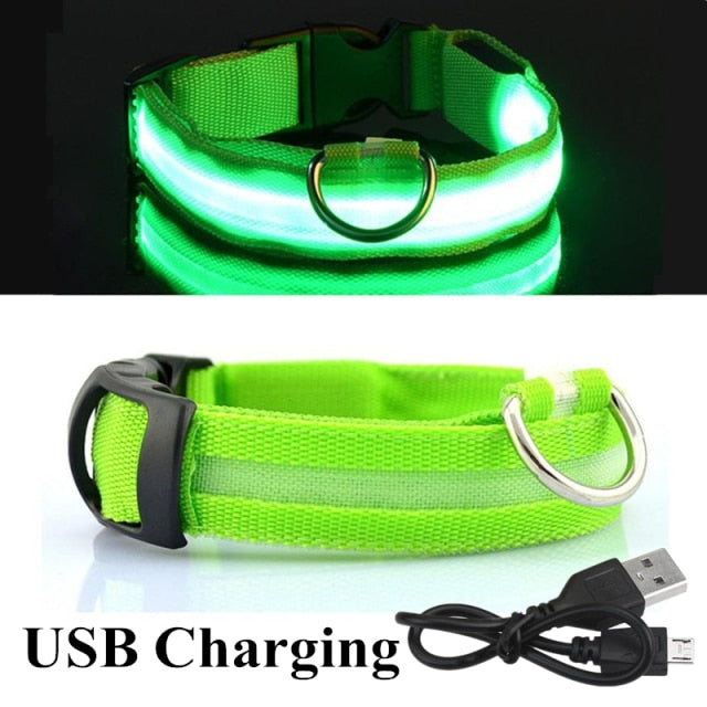 Glow Pet Collar