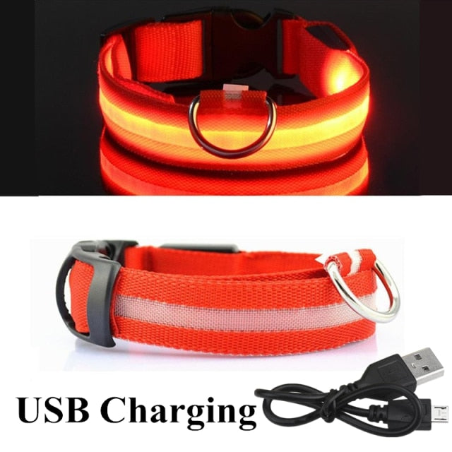 Glow Pet Collar