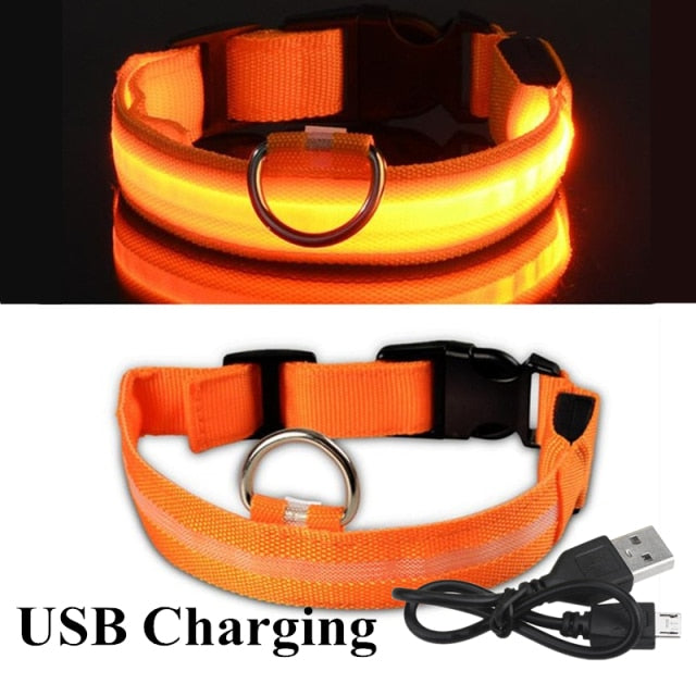 Glow Pet Collar