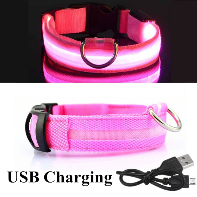 Glow Pet Collar