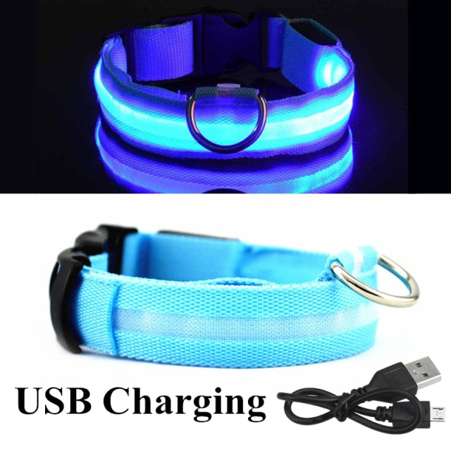 Glow Pet Collar