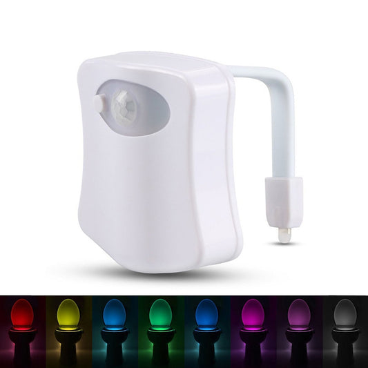 Toilet LED Nightlight