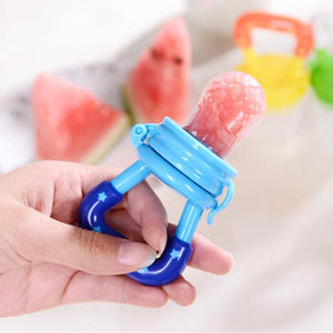 Fresh Food Baby Pacifier