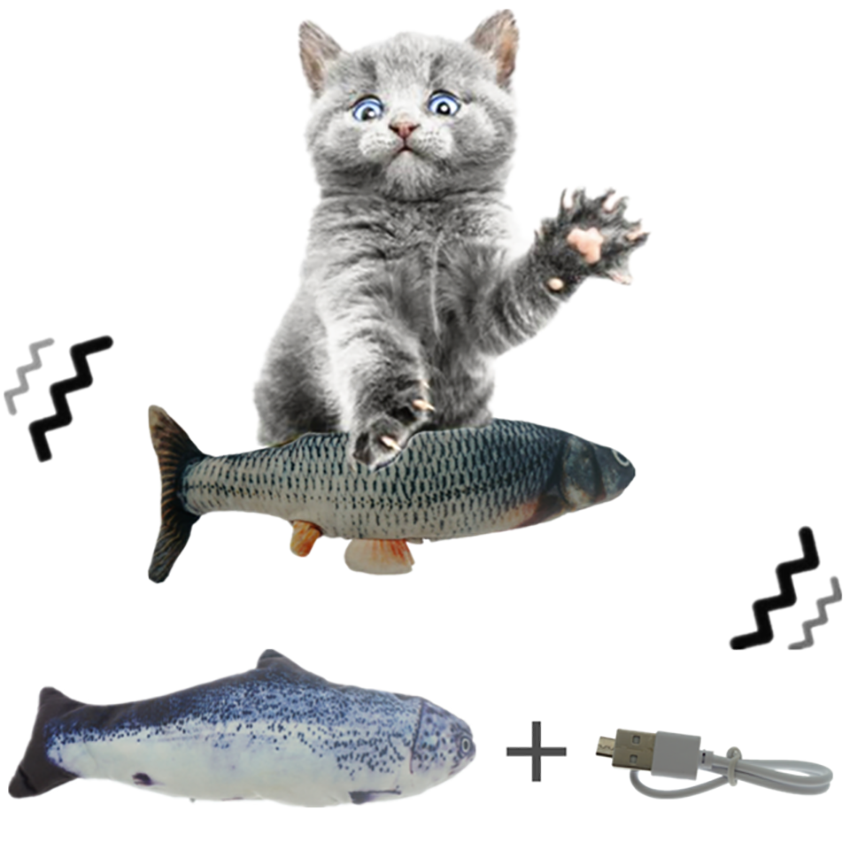 Moving Fish Cat Toy