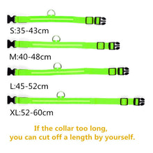 Load image into Gallery viewer, Glow Pet Collar