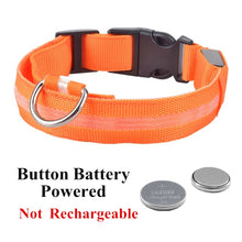 Load image into Gallery viewer, Glow Pet Collar