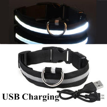 Load image into Gallery viewer, Glow Pet Collar
