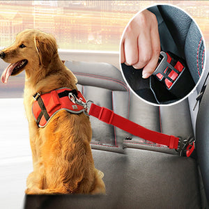 Car Harness for dogs - foldingup