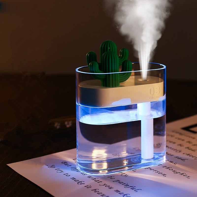 Cactus Humidifier